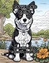 Paws and Paint by Colorzen Colorzen, Paperback | Indigo Chapters