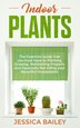 Indoor Plants by Jessica Bailey, Paperback | Indigo Chapters