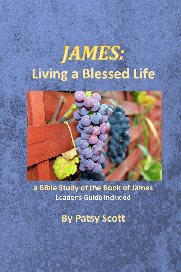 James by Patsy Scott, Paperback | Indigo Chapters