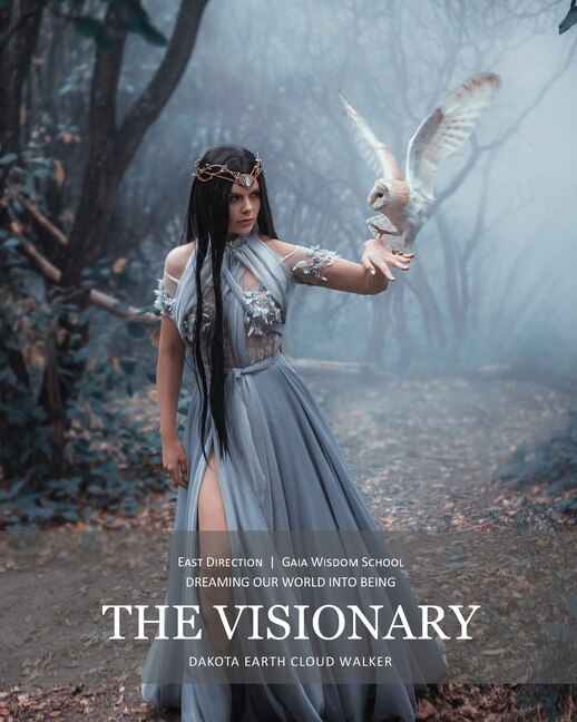 The Visionary by Dakota Earth Cloud Walker, Paperback | Indigo Chapters