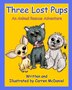 Three Lost Pups by Carren Mcdaniel, Paperback | Indigo Chapters