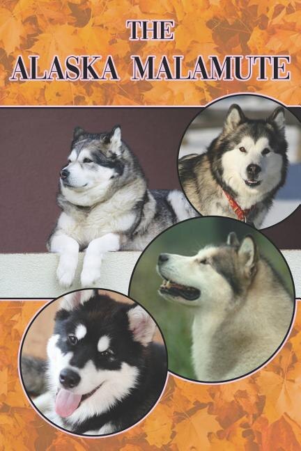 The Alaska Malamute by Michael Stonewood, Paperback | Indigo Chapters