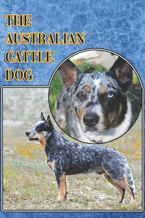 The Australian Cattle Dog by Michael Stonewood, Paperback | Indigo Chapters