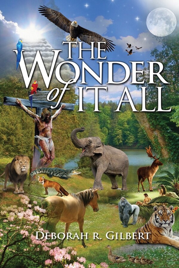 The Wonder of It All by Deborah R Gilbert, Paperback | Indigo Chapters