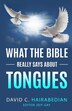 What the Bible REALLY Says about Speaking in Tongues by David Hairabedian, Paperback | Indigo Chapters