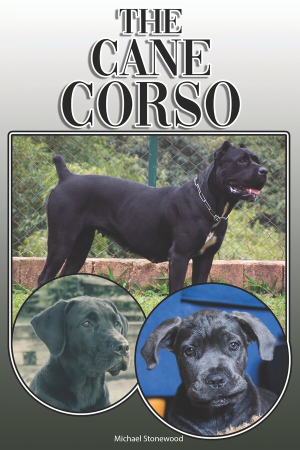 The Cane Corso by Michael Stonewood, Paperback | Indigo Chapters