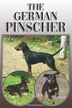 The German Pinscher by Michael Stonewood, Paperback | Indigo Chapters
