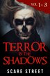 Terror In The Shadows Volumes 1 - 3 by Ron Ripley, Paperback | Indigo Chapters