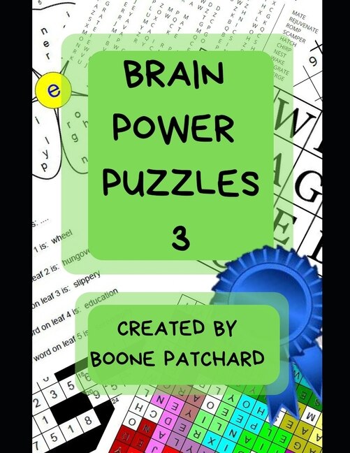 Brain Power Puzzles 3 by Debra Chapoton, Paperback | Indigo Chapters