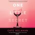 One Little Secret by Cate Holahan, Audio Book (CD) | Indigo Chapters