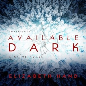 Available Dark by Elizabeth Hand, Audio Book (CD) | Indigo Chapters