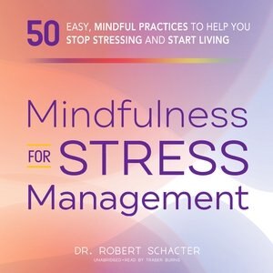 Mindfulness For Stress Management by Robert Schacter, Audio Book (CD) | Indigo Chapters