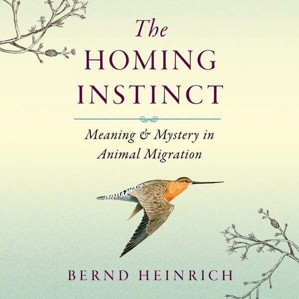 The Homing Instinct by Bernd Heinrich, Audio Book (CD) | Indigo Chapters