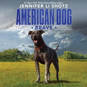 Brave by Jennifer Li Shotz, Audio Book (CD) | Indigo Chapters