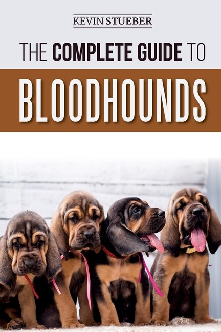 The Complete Guide to Bloodhounds by Kevin Stueber, Paperback | Indigo Chapters