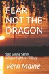 Fear Not the Dragon by Vern Maine, Paperback | Indigo Chapters