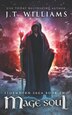 Mage Soul by J T Williams, Paperback | Indigo Chapters