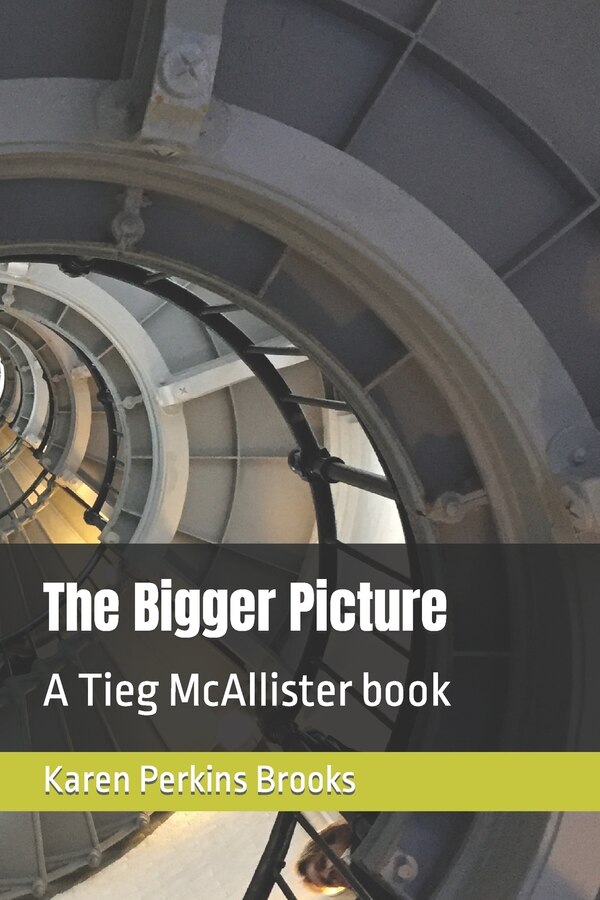 The Bigger Picture by Karen Perkins Brooks, Paperback | Indigo Chapters