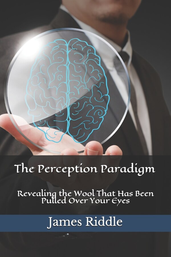 The Perception Paradigm by James Riddle, Paperback | Indigo Chapters