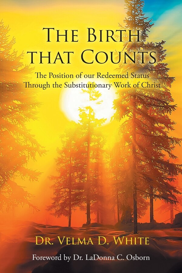 The Birth that Counts by Velma D White, Paperback | Indigo Chapters