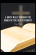 A Brief Walk through the Books of the Old Testament by Tony Smith, Paperback | Indigo Chapters