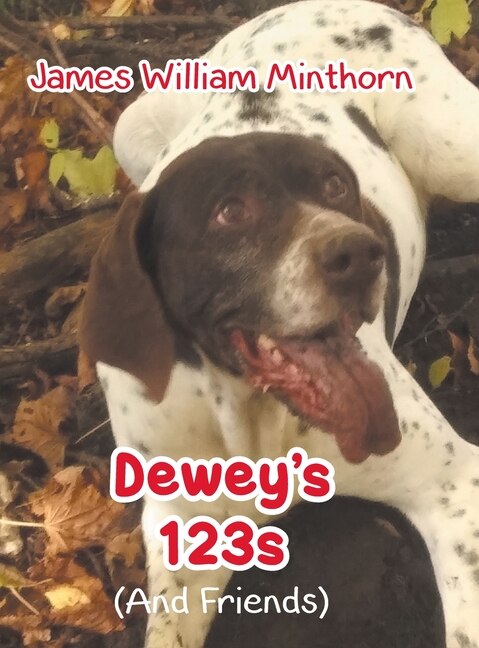 Dewey's 123s by James William Minthorn, Hardcover | Indigo Chapters