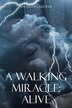 A Walking Miracle by Jocyeline Brewer, Paperback | Indigo Chapters