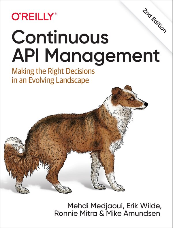 Continuous Api Management by Mehdi Medjaoui, Paperback | Indigo Chapters