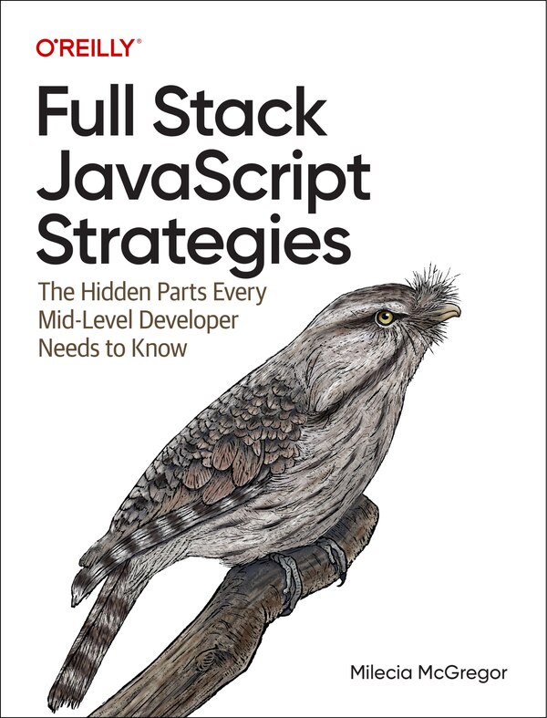 Full-Stack JavaScript Strategies by Milecia McGregor, Paperback | Indigo Chapters