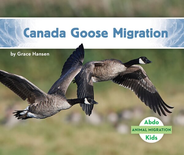 Canada Goose Migration by Grace Hansen, Reinforced Library Binding | Indigo Chapters