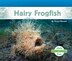 Hairy Frogfish by Grace Hansen, Reinforced Library Binding | Indigo Chapters