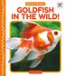 Goldfish in the Wild by Grace Hansen, Reinforced Library Binding | Indigo Chapters