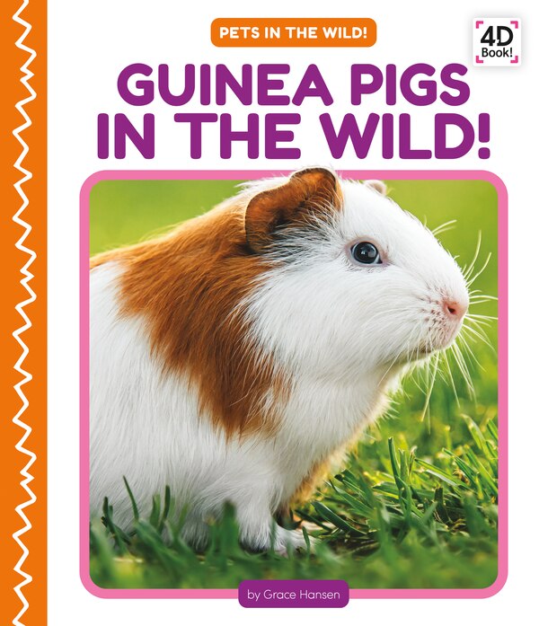 Guinea Pigs in the Wild by Grace Hansen, Reinforced Library Binding | Indigo Chapters