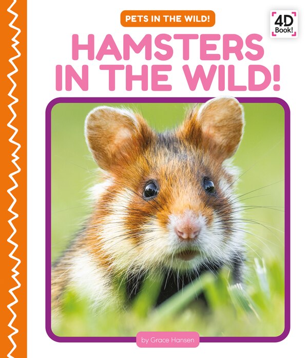 Hamsters in the Wild by Grace Hansen, Reinforced Library Binding | Indigo Chapters