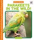 Parakeets in the Wild by Grace Hansen, Reinforced Library Binding | Indigo Chapters