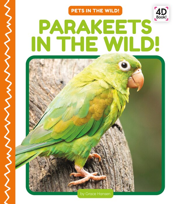 Parakeets in the Wild by Grace Hansen, Reinforced Library Binding | Indigo Chapters