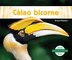Cálao Bicorne by Grace Hansen, Reinforced Library Binding | Indigo Chapters