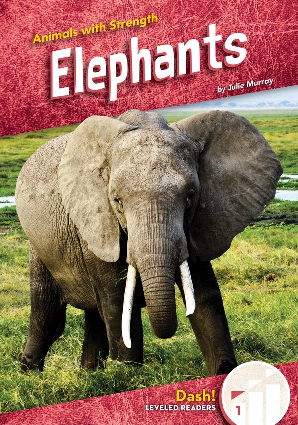 Elephants by Julie Murray, Reinforced Library Binding | Indigo Chapters