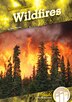 Wildfires by Julie Murray, Reinforced Library Binding | Indigo Chapters