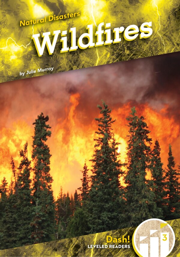Wildfires by Julie Murray, Reinforced Library Binding | Indigo Chapters