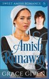 Amish Runaway by Grace Given, Paperback | Indigo Chapters
