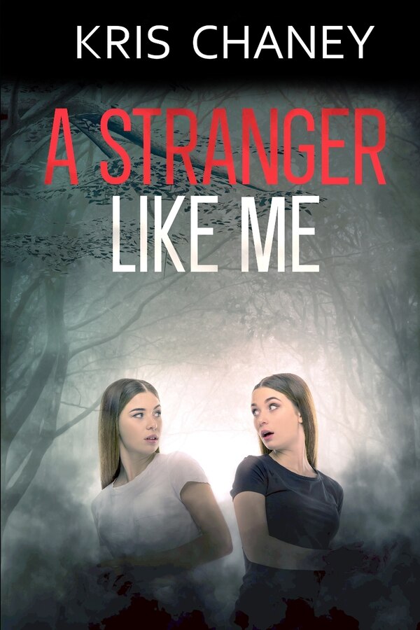A Stranger Like Me by Kristen Chaney, Paperback | Indigo Chapters