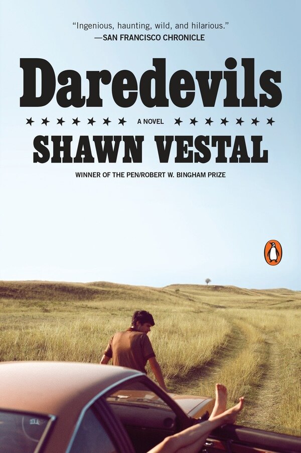 Daredevils by Shawn Vestal, Paperback | Indigo Chapters