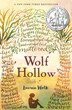 Wolf Hollow by Lauren Wolk, Paperback | Indigo Chapters