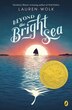 Beyond The Bright Sea by Lauren Wolk, Paperback | Indigo Chapters