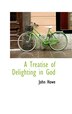 A Treatise of Delighting in God by John Howe, Hardcover | Indigo Chapters