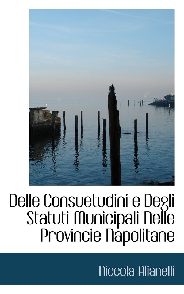Delle Consuetudini e Degli Statuti Municipali Nelle Provincie Napolitane by Niccola Alianelli, Paperback | Indigo Chapters