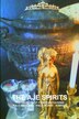 The Aje Spirits the Secrets of Congo Initiations Palo Mayombe - Palo Monte - Kimbisa by Carlos Montenegro, Paperback | Indigo Chapters