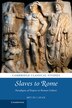 Slaves to Rome by Myles Lavan, Hardcover | Indigo Chapters
