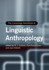 The Cambridge Handbook Of Linguistic Anthropology by N. J. Enfield, Hardcover | Indigo Chapters